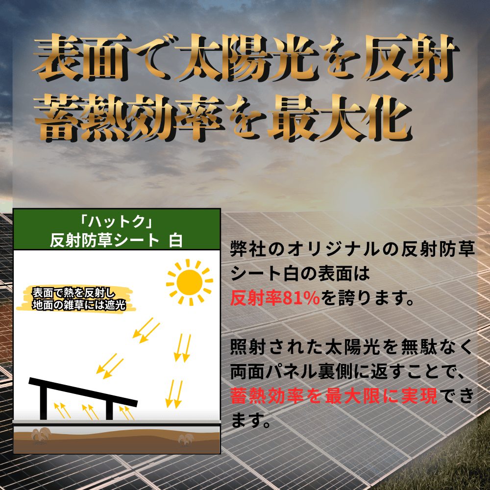 反射防草シートのしくみ